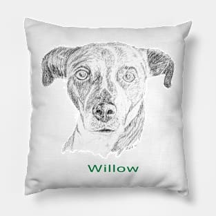 Willow! Pillow