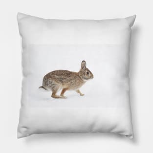 Easter Cottontail Pillow