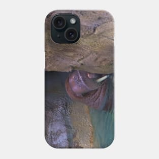 Sheepish Walrus Phone Case