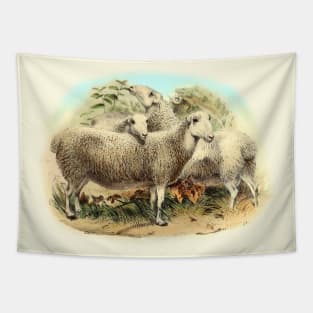 Sheep Cute Animal Illustration Tapestry