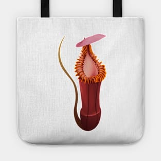 Botany Carnivorous pitcher plant Nepenthes Edwardsiana Tote