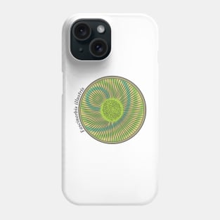 Diatom - Fascinorbis illustris (scientific) Phone Case