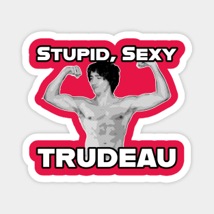 Stupid, Sexy Trudeau Magnet