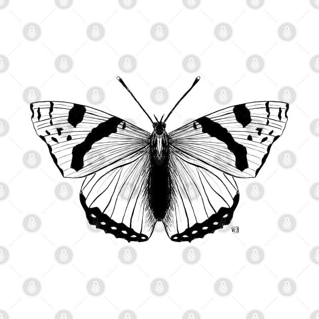 Not so real Butterfly III black-and-white by VeraAlmeida