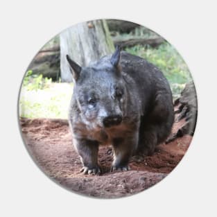 Southern Hairy-Nosed Wombat Pin