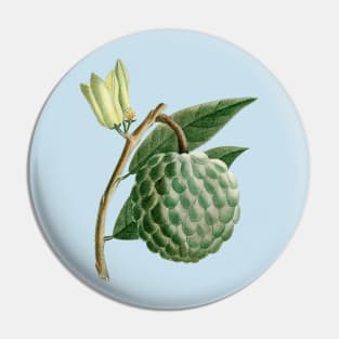 Hand Drawn Custard apple Pin