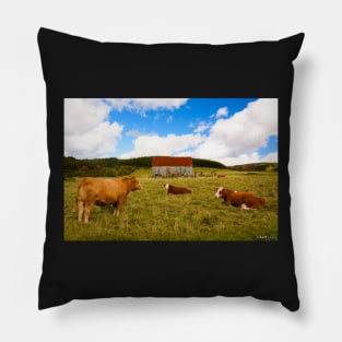 Cows of Mabou Pillow