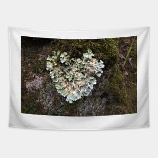 Heart shaped Lichen Tapestry