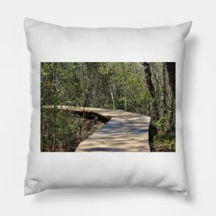 Explore Nature Pillow