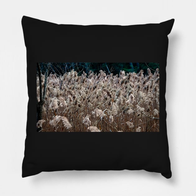 Tall Grass Pillow by EileenMcVey