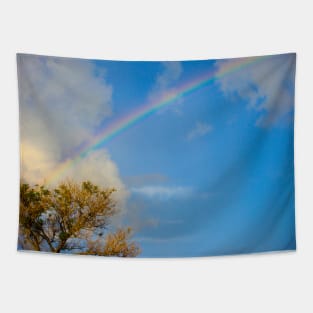 Blue sky and a beautiful rainbow | Photography Tapestry