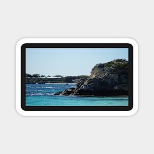 Rottnest 3 Magnet