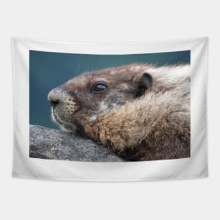 Marmot in Mount Rainier National Park Tapestry