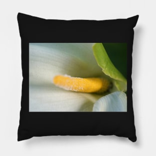 Calla Lilly Close-Up Pillow