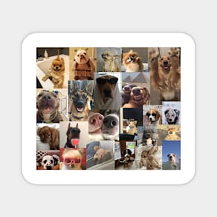 dogs aesthetic collage Magnet