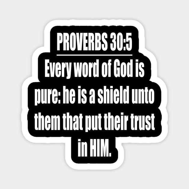 PROVERBS 30:5 KJV  Bible Verse Magnet by Holy Bible Verses