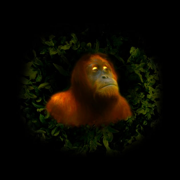 Orangutan by Guardi