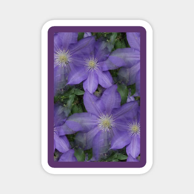 Clematis vine Magnet by MJDiesl