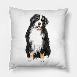 Bernese Mountain Dog Pillow