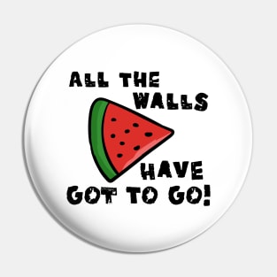 all the walls have got to go - free palestine Pin