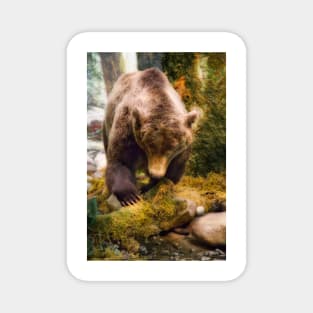 Mystic Grizzly Bear in the Forest Magnet