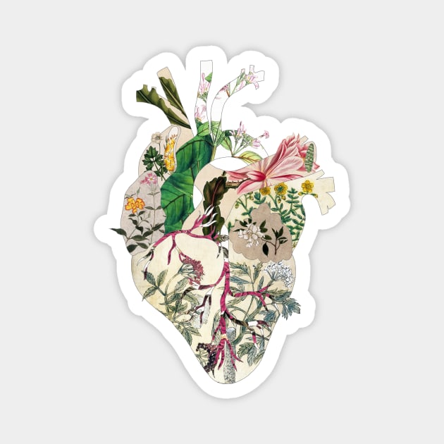 Vintage Botanical Heart Magnet by BiancaGreen