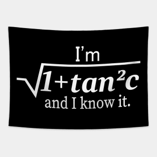 I'm Sqrt[1 + tan2 (c)] And I Know It Funny Math Tapestry