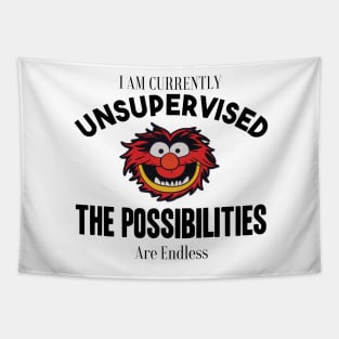 I am currently unsupervised I know it freaks me out too but possibilities are endless Tapestry