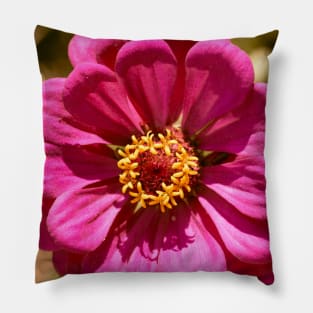 Pink Zinnia Pillow