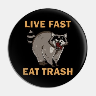 Raccoon - Live Fast Eat Trash Pin