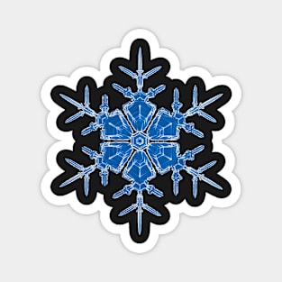 Welcome winter Magnet