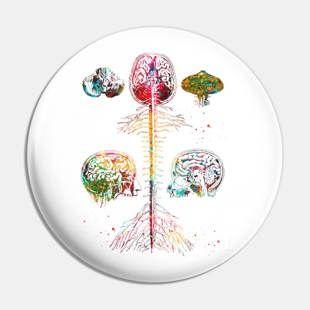 Brain and spine Pin by erzebeth