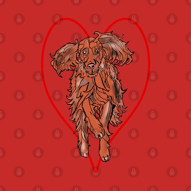 Irish Red Setter by Gearysworld 