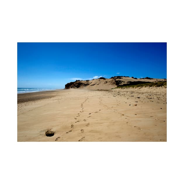 Sand Dune At Darby River by GP1746