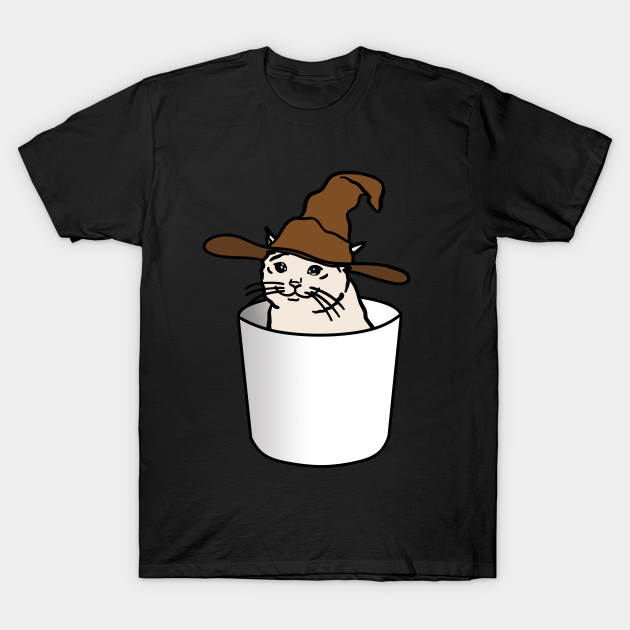 Crying Cat Meme In A Wizard Hat In A Glass Crying Cat Meme T
