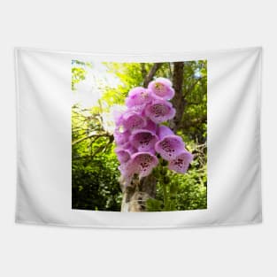 Pink Foxglove Tapestry