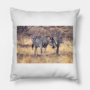 Zebra in the Bush Pillow