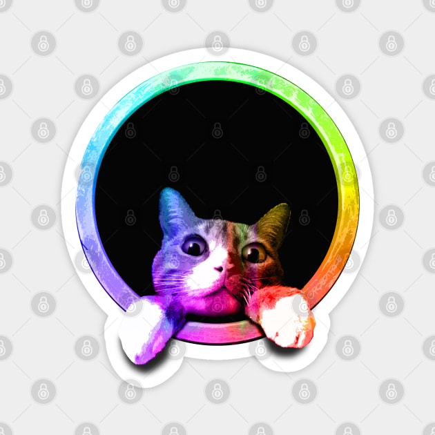 Peeking Circle Cat Magnet by robotface