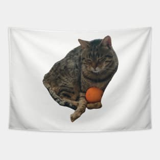 tabby cat holding an orange funny meme Tapestry