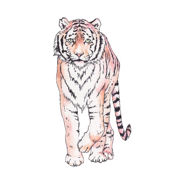 Approaching ink and watercolor tiger by wanderinglaur