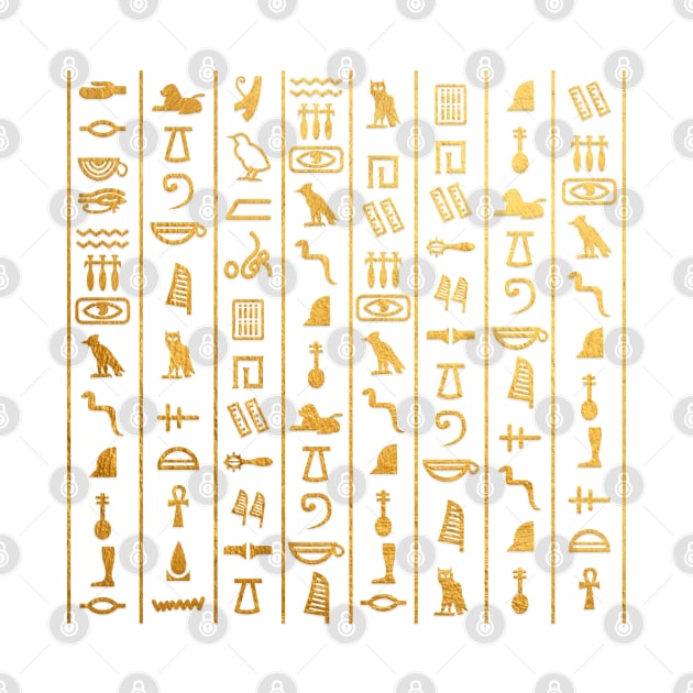 Hieroglyphs language: Ancient Egypt by Da Vinci Feather