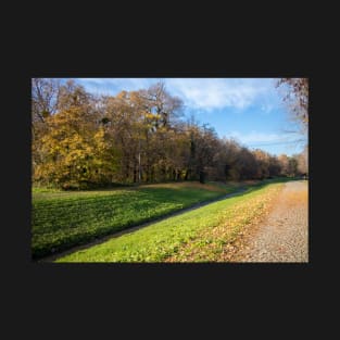 Forest with a path and a pond in the middle T-Shirt