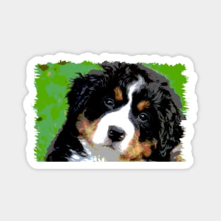 Bernese Mountain Dog Face Magnet