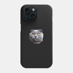 Scottish Fold Blue Beauty Phone Case