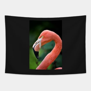 Flamingo Bird Tapestry