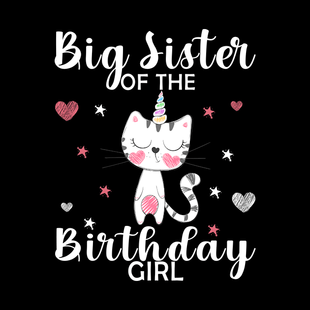 Cute Big Sister Of The Birthday Girl Unicorn Cat B-Day Gift by ExprezzDesigns