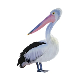 White Pelican illustration. Beach themed art, great gift for bird lovers T-Shirt