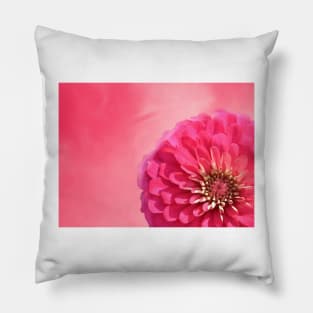 Pink Zinnia Pillow