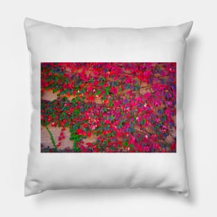 Wall of Fall Pillow