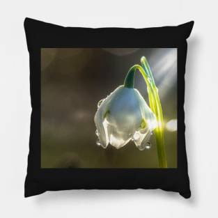 Galanthus Pillow